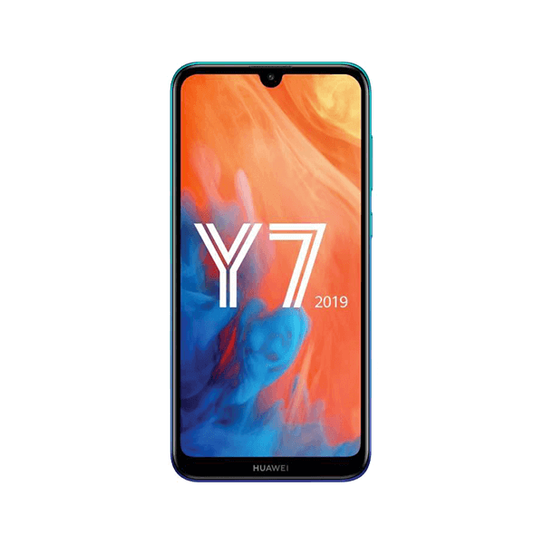 Y7 2019