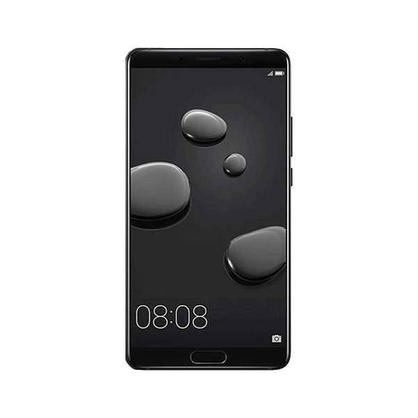MATE 10